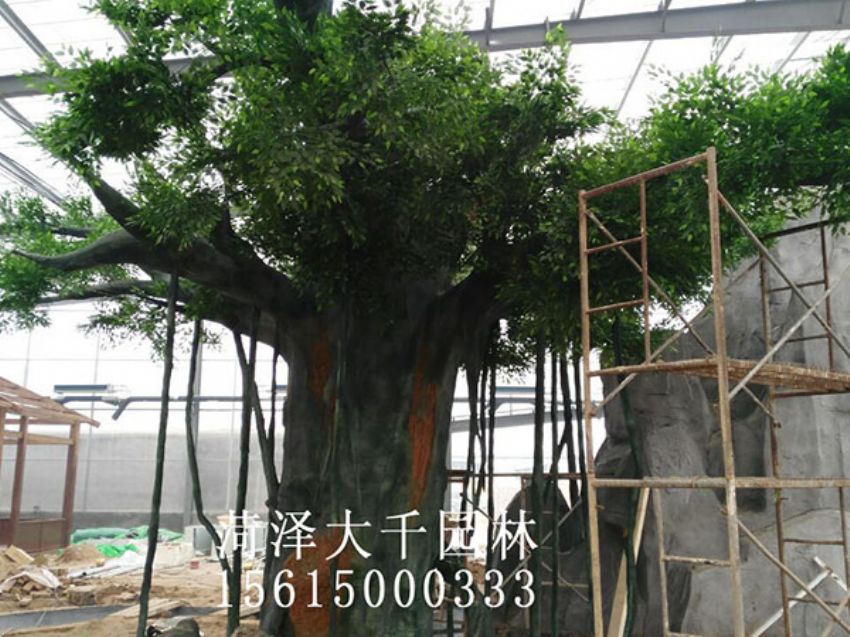 點(diǎn)擊查看詳細(xì)信息<br>標(biāo)題：假樹 閱讀次數(shù)：1546