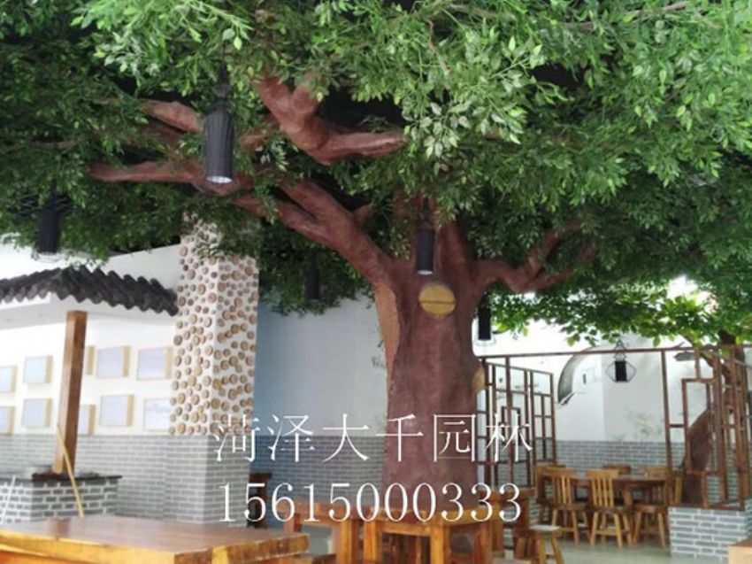 點(diǎn)擊查看詳細(xì)信息<br>標(biāo)題：假樹 閱讀次數(shù)：1485