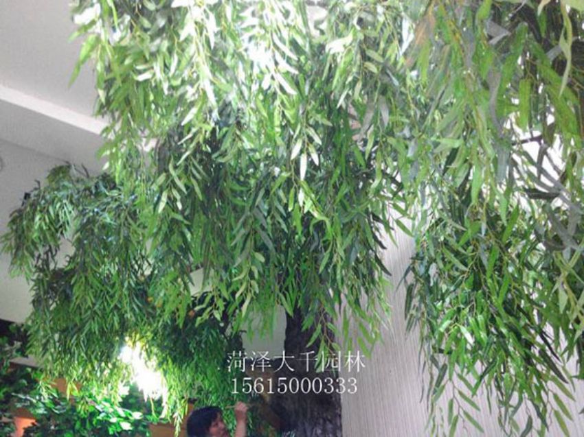 點擊查看詳細信息<br>標題：假樹 閱讀次數：1463