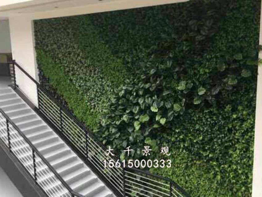 點擊查看詳細信息<br>標題：綠植墻 閱讀次數：1782