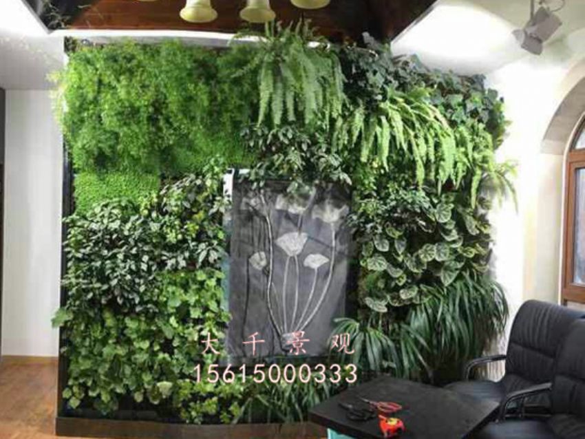 點擊查看詳細信息<br>標題：綠植墻 閱讀次數：1853