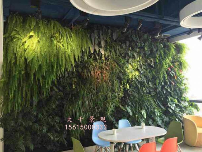 點擊查看詳細信息<br>標題：綠植墻 閱讀次數：2057