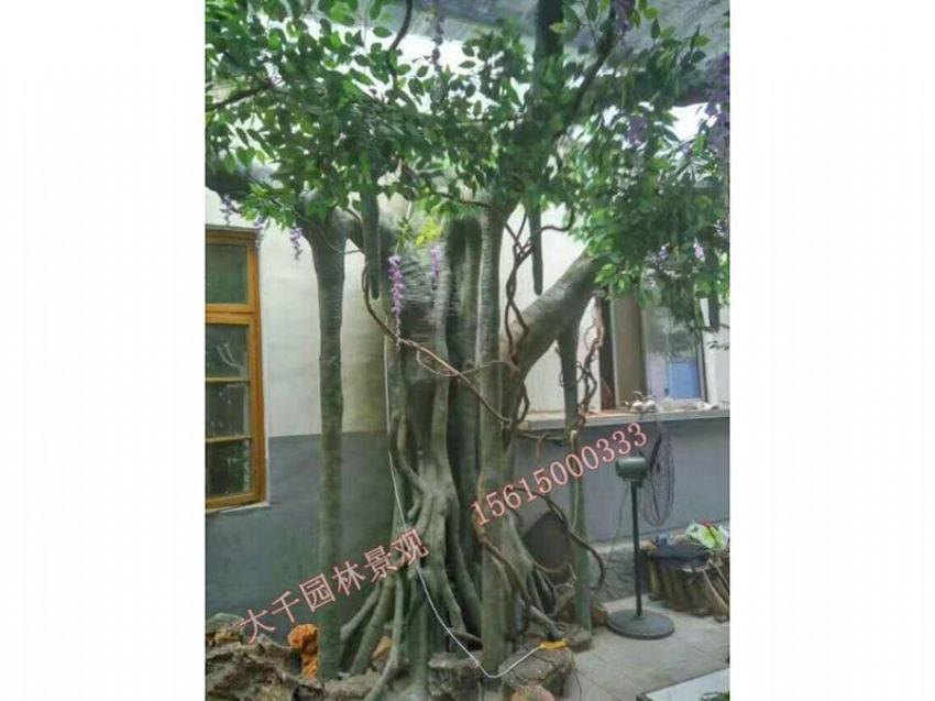 點擊查看詳細信息<br>標題：假樹 閱讀次數：2476